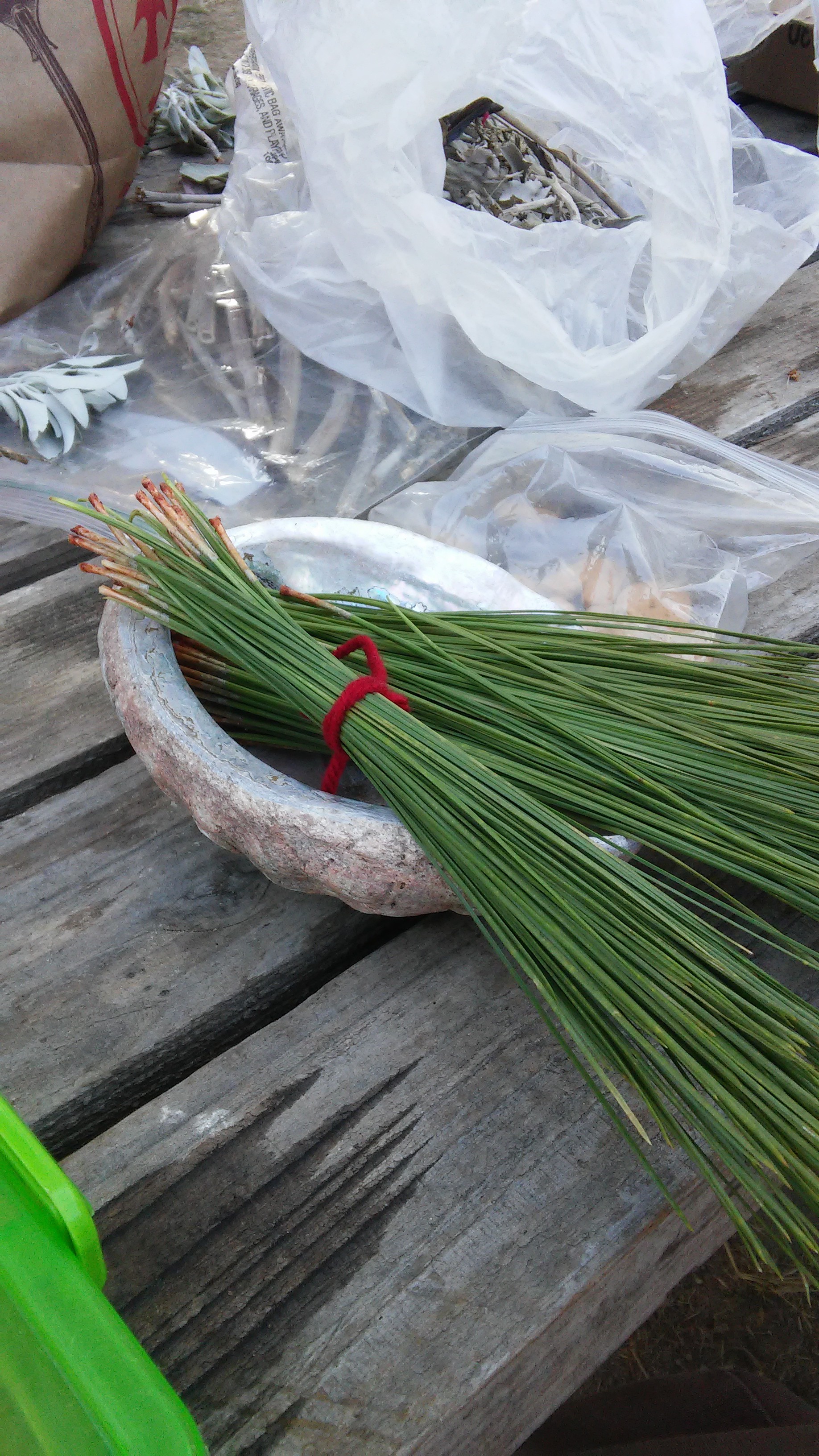 Pine needles (Pinus ponderosa), also gathered at the UCSC Arboretum, are bundled for basket-making.