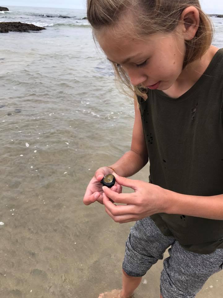 A camper gets a closer look at a black turban snail shell. Photo courtesy Abran Lopez.